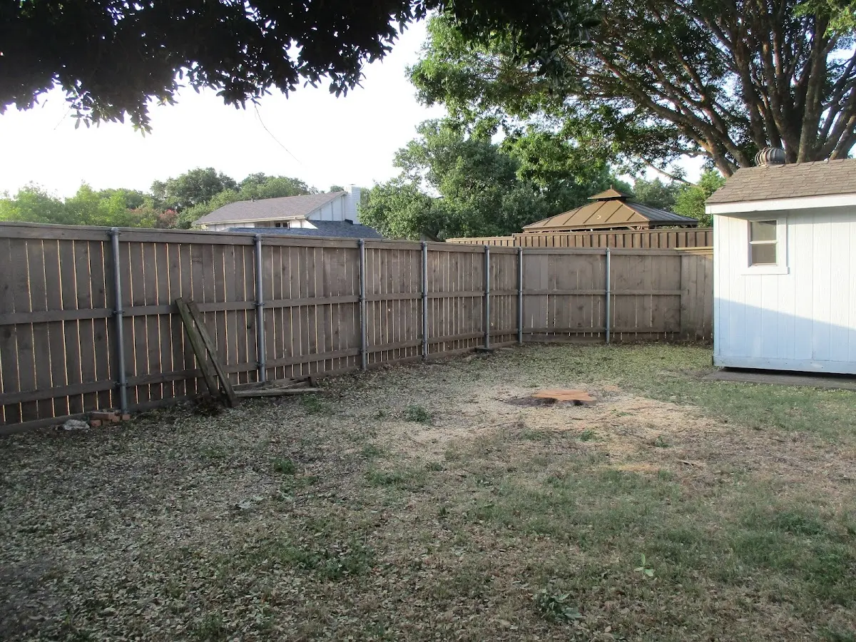 Cleared yard after professional tree removal in Emily